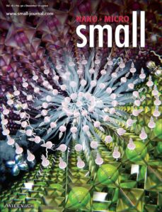 Scientific cover art for the journal Small.