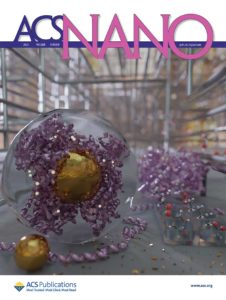 A scientific journal cover art for ACS Nano. The artwork shows how enzymes can be immobilized on a nanoparticle embedded in silica.