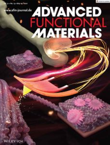 A scientific design that appeared on the cover of the journal Advanced Functional Materials. The scientific cover design shows stem cells being used for bone regeneration.