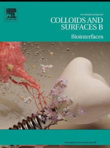 A cover design for the scientific journal Colloids and Surfaces B. This sicneitifc cover illustrates a tooth cover by biomaterials.
