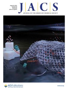 JACS supplementary cover design.