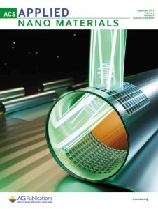 A science cover design for the journal ACS Applied Nano Materials showing metamaterials for light bending.
