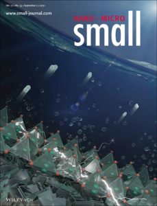 A cover art for the journal Small published by Wiley.
