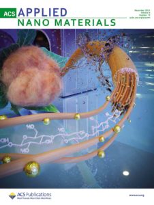 Cover art for ACS Applied Nano Materials showing brown cotton fibers with antimicrobial properties.