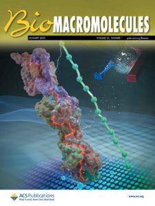 Front cover art of Biomacromolecules showing a new technique that can reveal protein-polymer interactions.