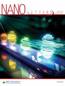 A cover design for Nano Letters. The image shows optical vortices that can act as microlasers.