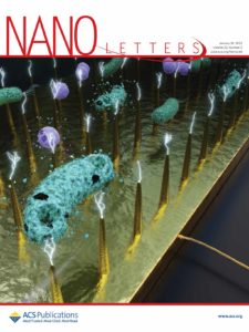 A supplementary cover art for ACS Nano Letters, showing how enhanced electric fields can destroy bacteria.