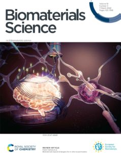The front cover of Biomaterials Science, showing neurons and a brain as a way to depict strategies for in vitro neural modelling.
