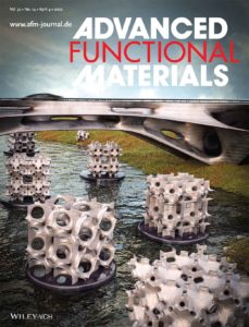 The front cover design of Advnaced Functional Materials. The cover shows a bridge with shellular structures floating in a river below.