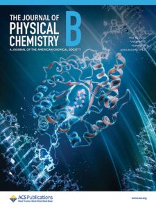 The cover of ACS JPCB, showing an enzyme in an DNA environment.