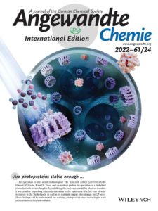 A cover for Angewandte Chemie. The design shows an inverse opal structure with proteins attached to it.