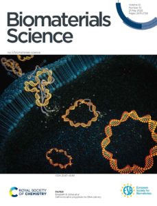 An image that was featured on the front cover of RSC Biomaterials Science. The cover shows a cell membrane with DNA delivered through self-immolative polyplexes.