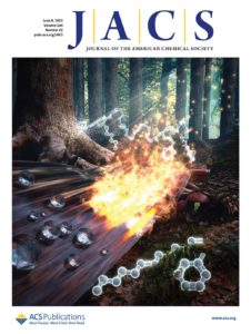 A JACS supplementary cover art. The cover shows a forest with a nylon foil. Chemical derived from bio-sources are used to modify the functionalities of nylon to become hydrophobic or fire retardant.