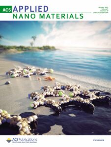 A supplementary cover art for ACS Applied Nano Materials. The image shows a molecule on the beach absorbing oil pollutants.