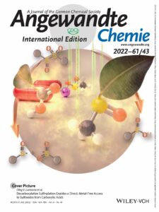 The front cover of Angewandte Chemie. The image shows the transformation of carboxylic acids into sulfoxides.
