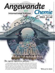 Cover art in Angewandte Chemie showing a bridge an molecules transforming on top of it. The cover also shows a raft carrying a protein that represents the natural equivalent of the model system.
