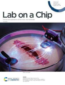 Front cover art for the journal Lab on a Chip. The image shows a skin patch in a petri dish with two electrodes stimulating wound healing.