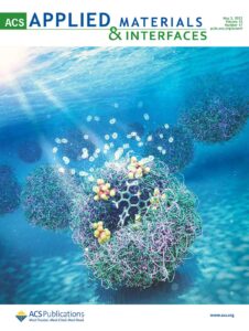 An underwater image showing a cluster of polymers used as a H2 catalyst. The image was featured on the pages of ACS Applied Materials and Interfaces.