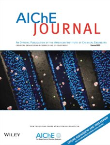 The front cover of AIChe. The design shows a carbon double layer with ions and counterions deposited on the electrodes.
