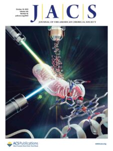 A cover art for JACS. The design shows a mitochondria being illuminated by lasers.