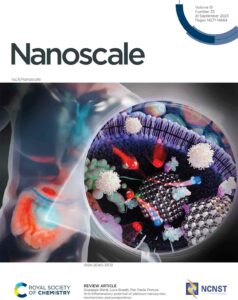 A cover in Nanoscale. The design shows a human body with a zoomed version showing a cell containing metal nanoparticles.