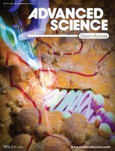 A cover art that appeared in the journal Advanced Science. The image shows a hand injecting a polymer into soft tissue fat layer.