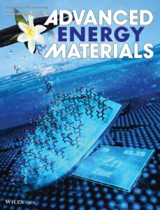 Cover art of Advanced Energy Materials showing molecules released from a vanilla plant, which then form a shield protecting a zinc metal anode.