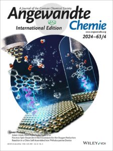 Front cover design of Angewandte Chemie. The image shows a metallic layer with a molecule on top of it that is releasing gas molecules and bubbles. On the opposite side there is a mirror showing a reflection of the system.