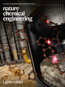 The image appeared on the front of the first issue of Nature Chemical Engineering. It shows a chemical reactor cross section with a catalyst bed and molecules emerging from it. In the background are some pipes and a pile of woodchips.